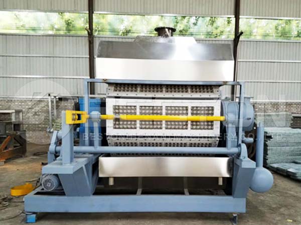 3000-4000pcs Egg Carton Machine