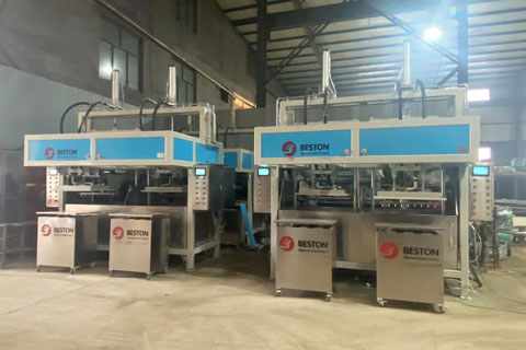 Beston Industrial Tray Packaging Machine Shipped to Indonesia