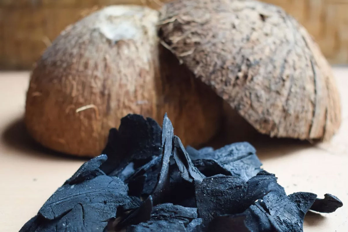 Make Charcoal from Waste Coconut Shells